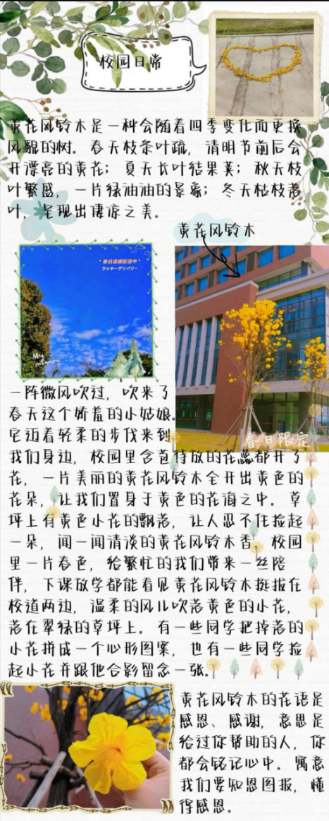 威廉希尔williamhill中文